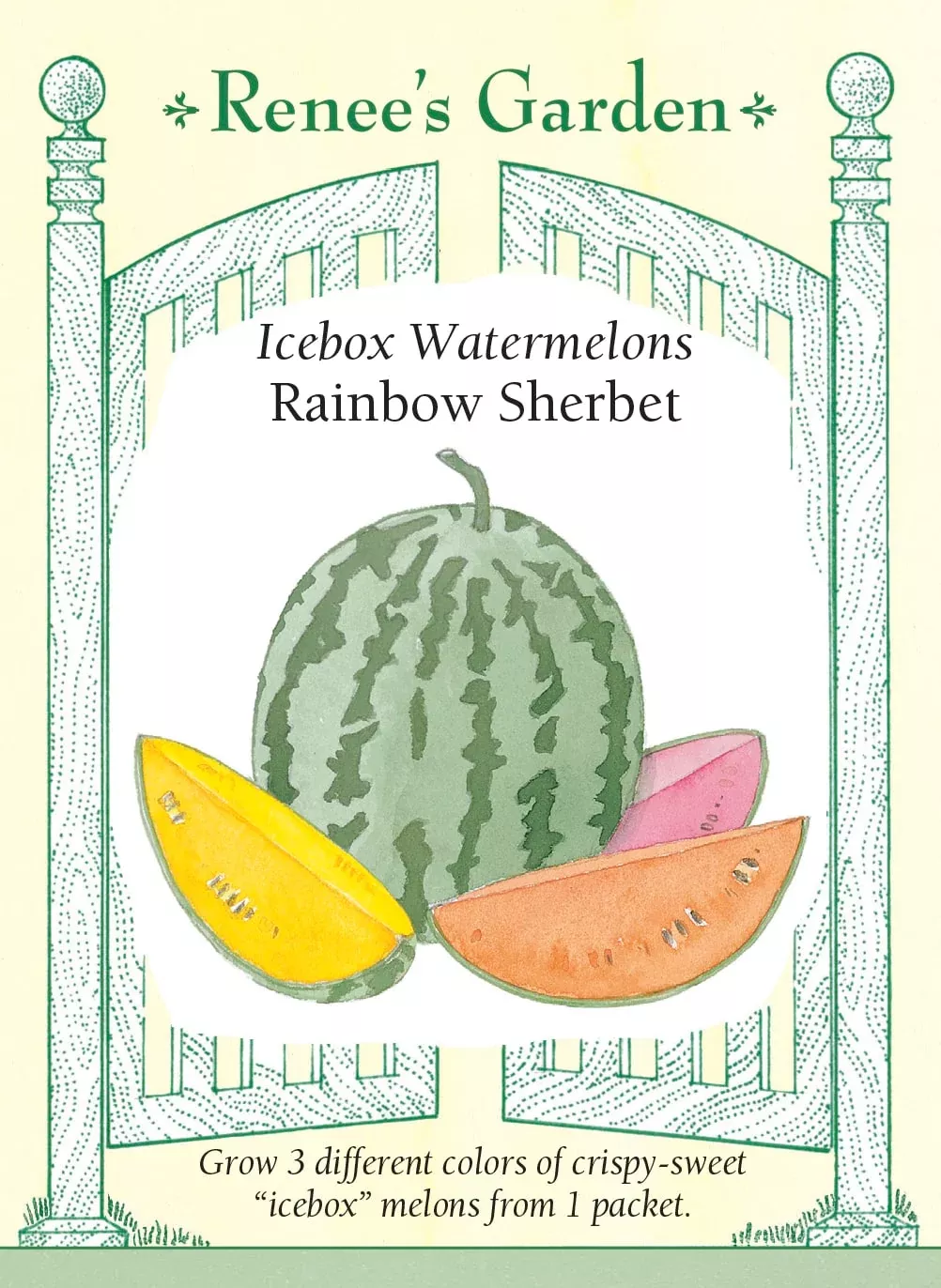 rainbow-sherbet Rainbow Sherbet