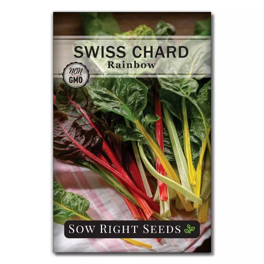rainbow-swiss-chard Rainbow Swiss Chard