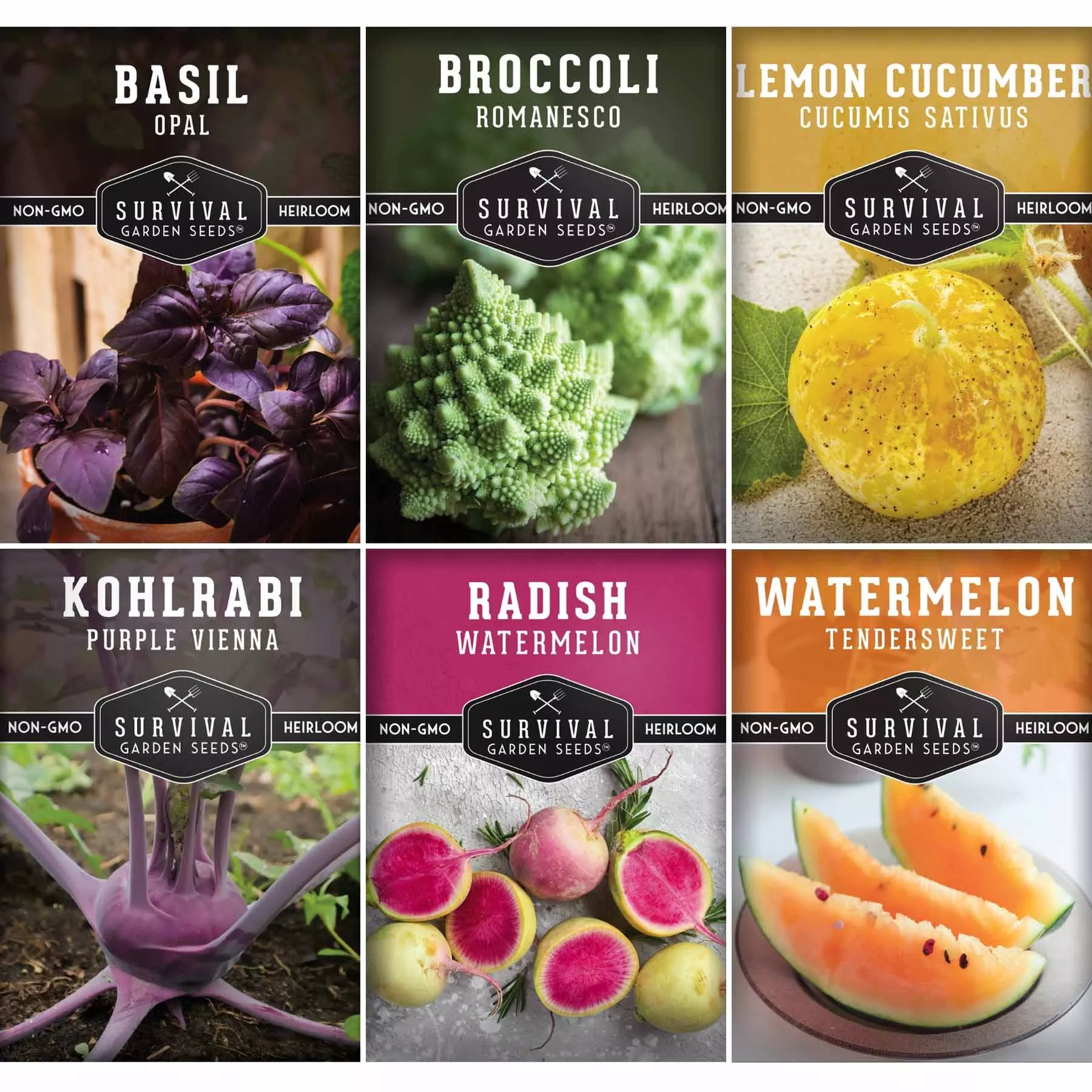 rare-exotic-vegetable-fruit-seeds-6-variety-heirloom-pack-with-romanesco-broccol Rare Exotic Vegetable & Fruit Seeds – 6 Variety Heirloom Pack with Romanesco Broccoli, Watermelon Radish, Lemon Cucumber, and More