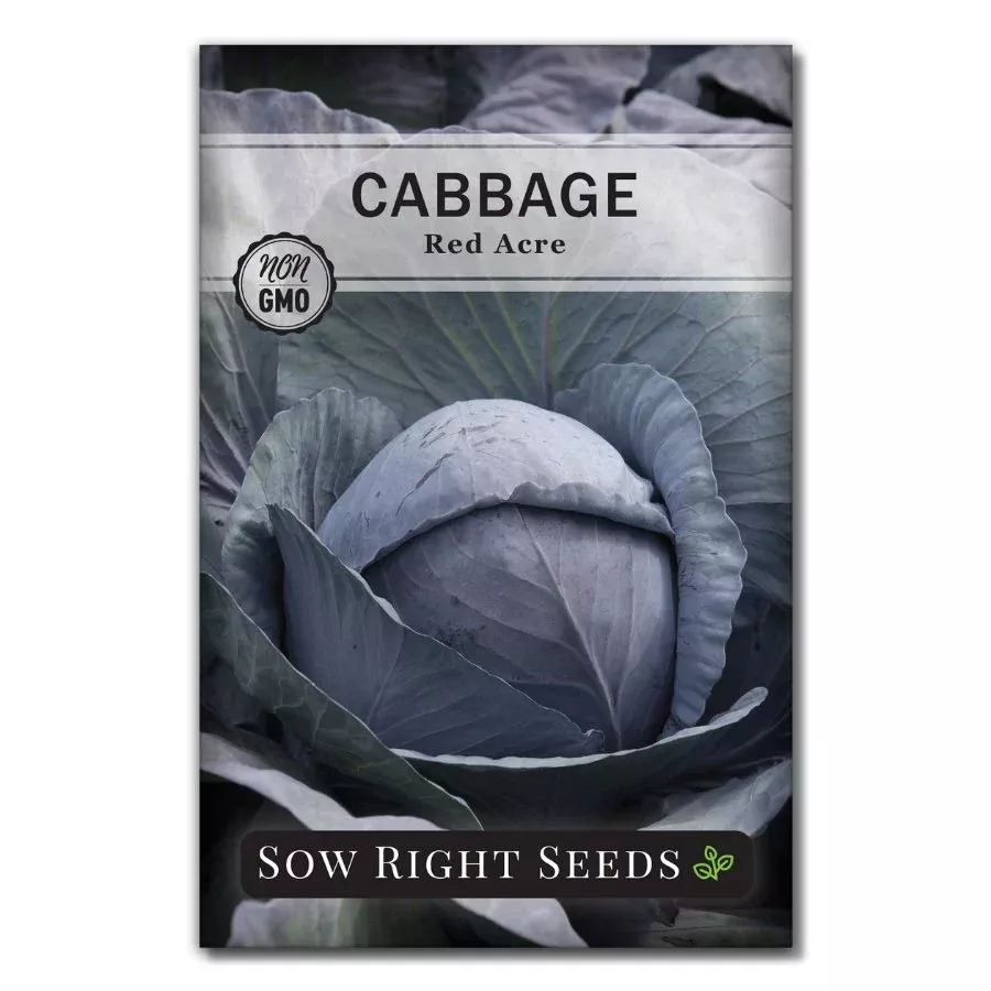 red-acre-cabbage Red Acre Cabbage