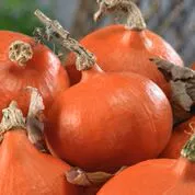 red-kuri-squash Red Kuri Squash