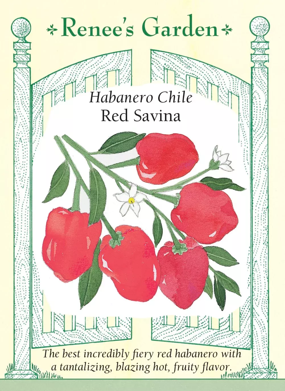 red-savina Red Savina