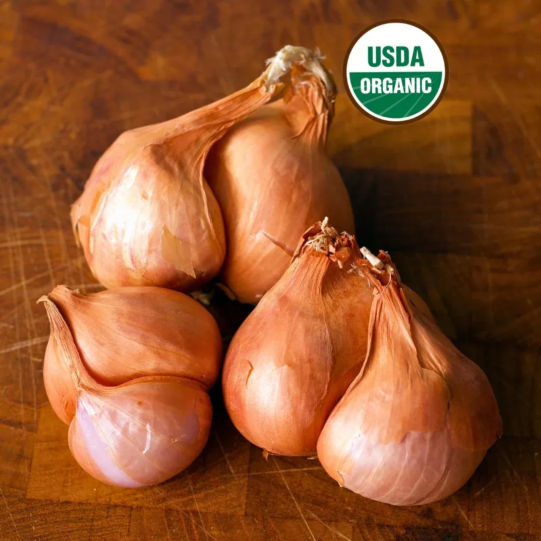 red-shallots-organic Red Shallots Organic