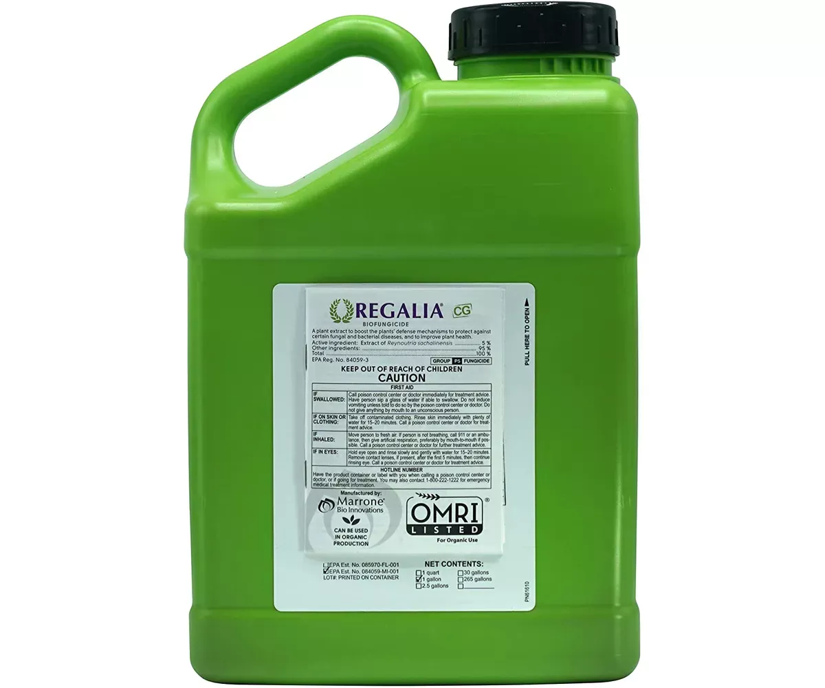 regalia-cg Regalia CG