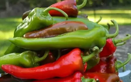 Relleno Sweet Pepper