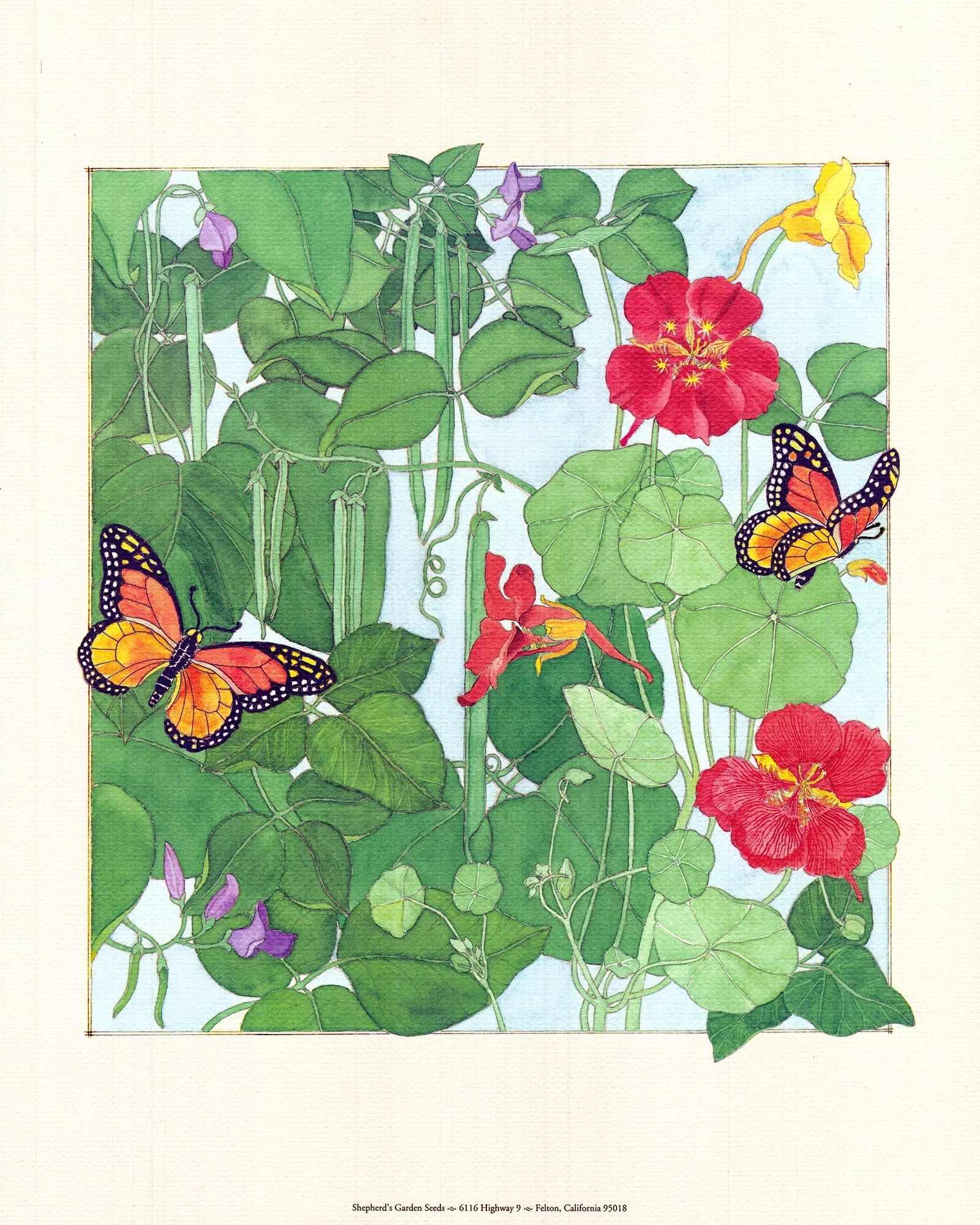 Renee's Butterfly Garden Art Print
