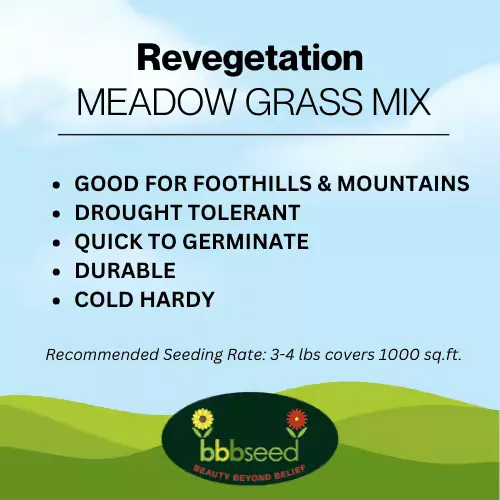 Revegetation Grass Mix