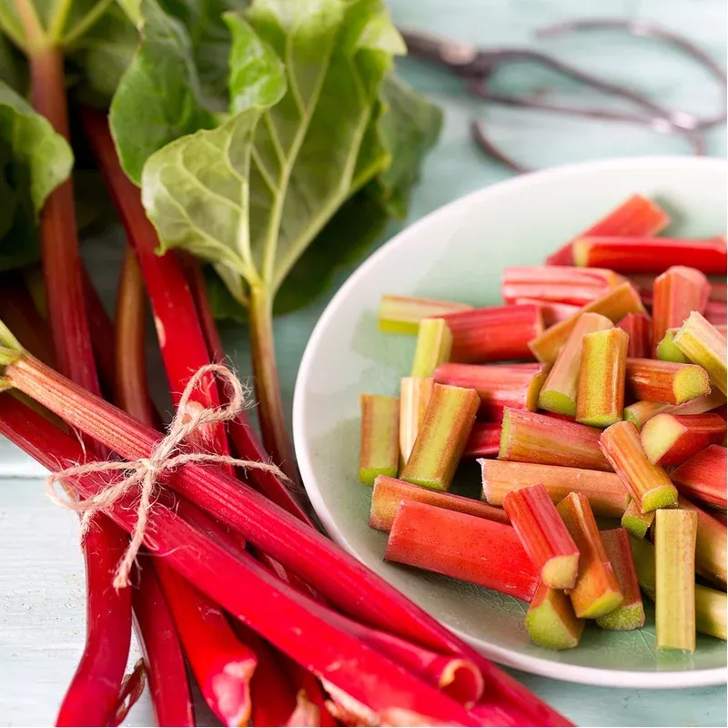 rhubarb-glaskins-perpetual Rhubarb 'Glaskins Perpetual'
