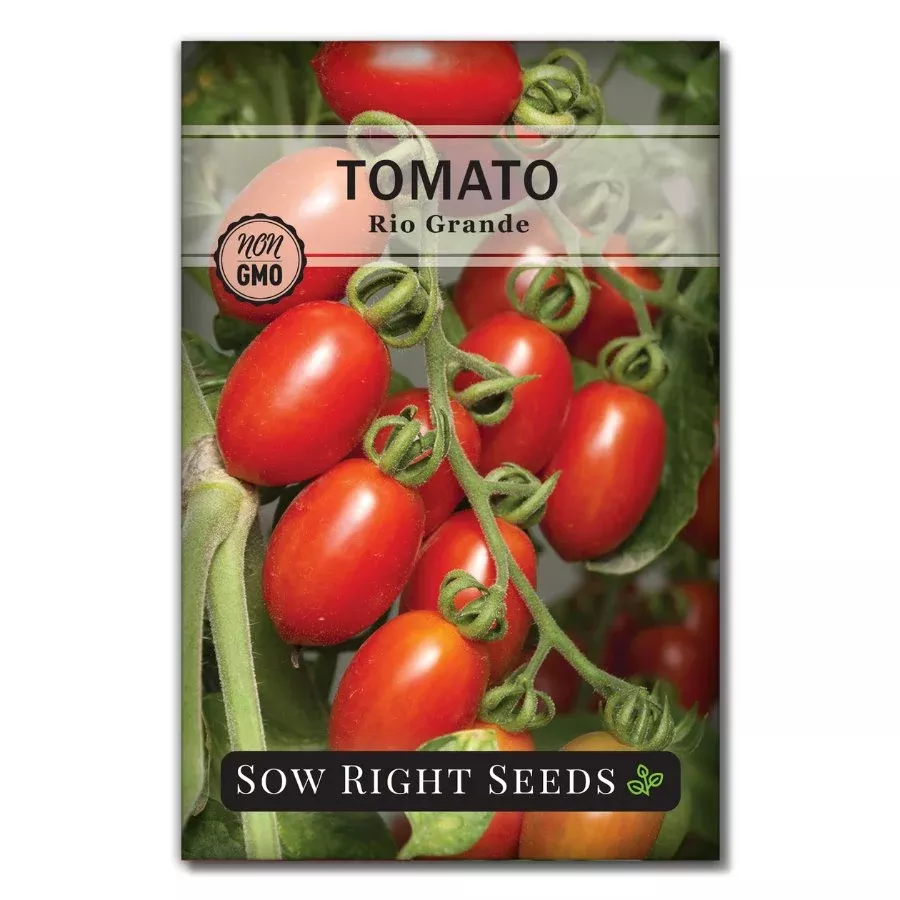Rio Grande Tomato Seeds