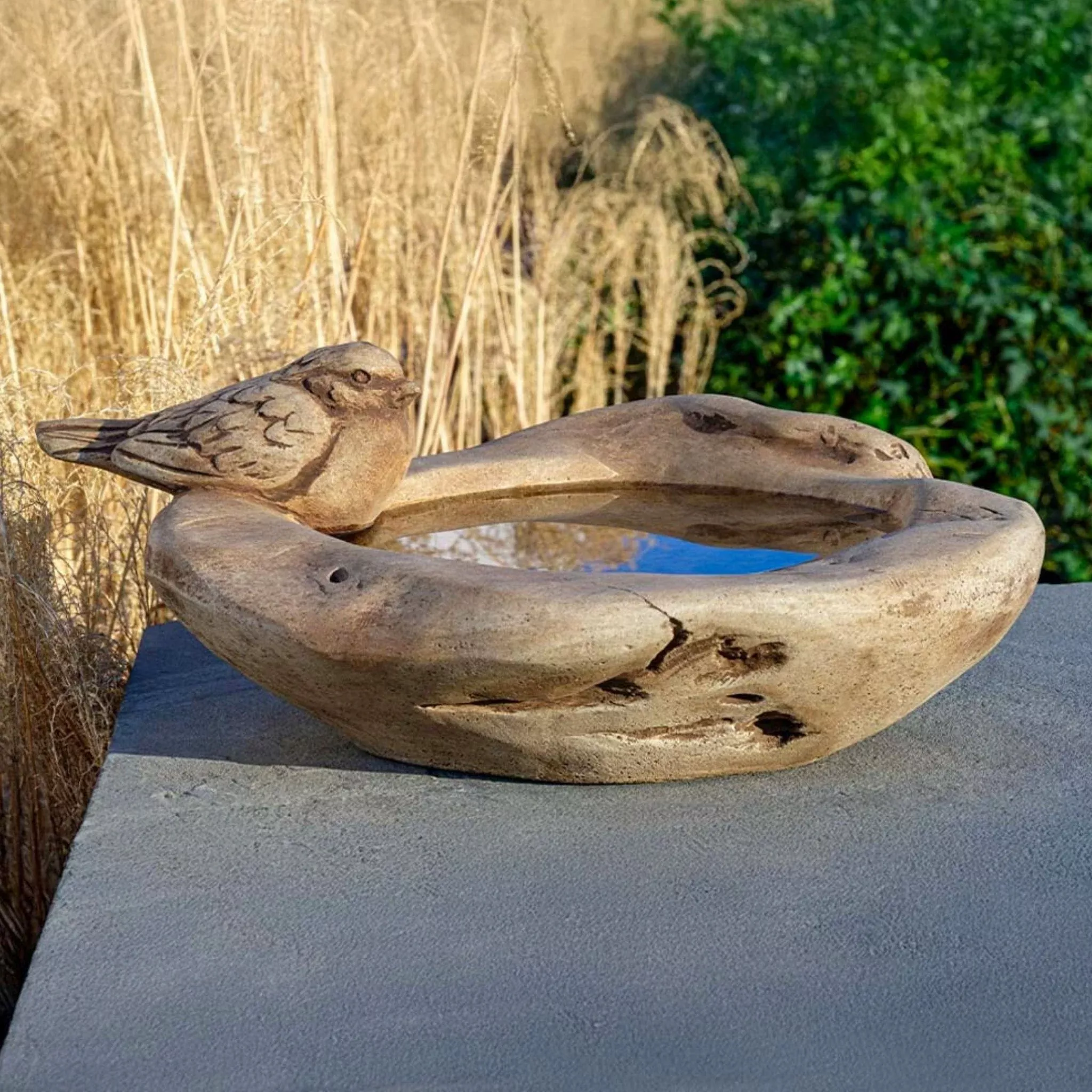 robinson-crusoe-concrete-bird-bath-campania-b208 Robinson Crusoe Concrete Bird Bath - Campania #B208
