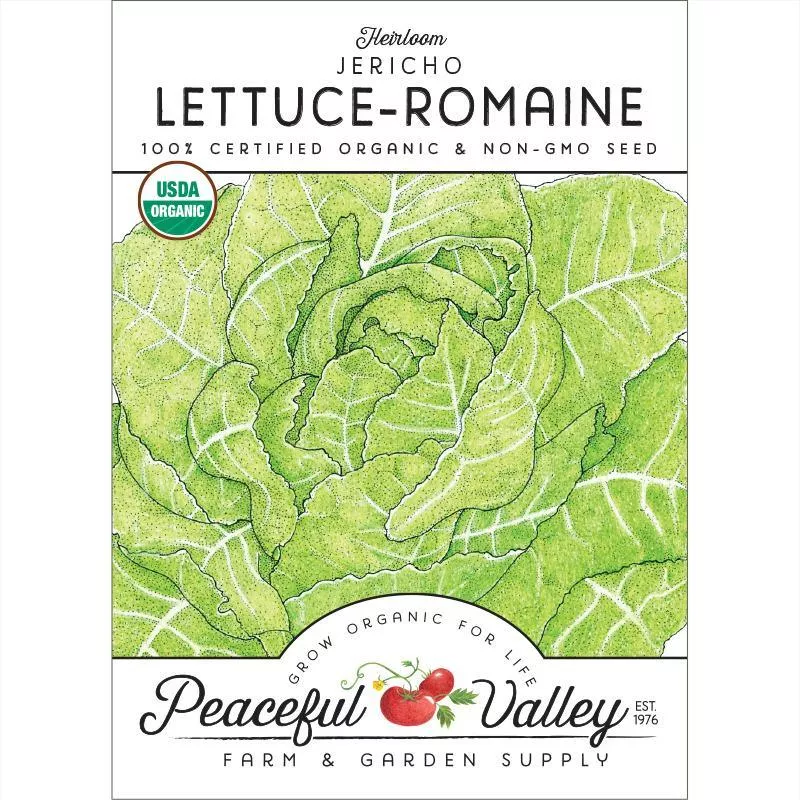 romaine-jericho-lettuce-seeds-organic Romaine, Jericho Lettuce Seeds (Organic)