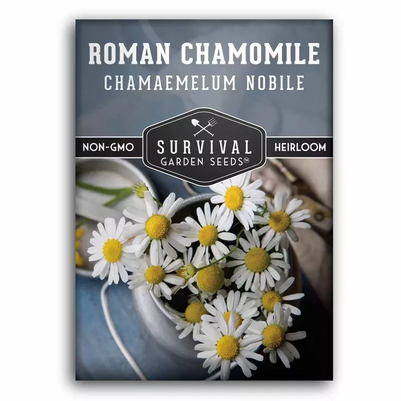 roman-chamomile-seeds-perennial-aromatherapy-plant-fragrant-ground-cover-herb-ga Roman Chamomile Seeds – Perennial Aromatherapy Plant and Fragrant Ground Cover for Herb Gardens