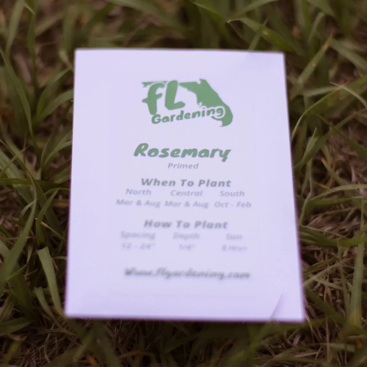 rosemary-primed-rosemary Rosemary - Primed Rosemary
