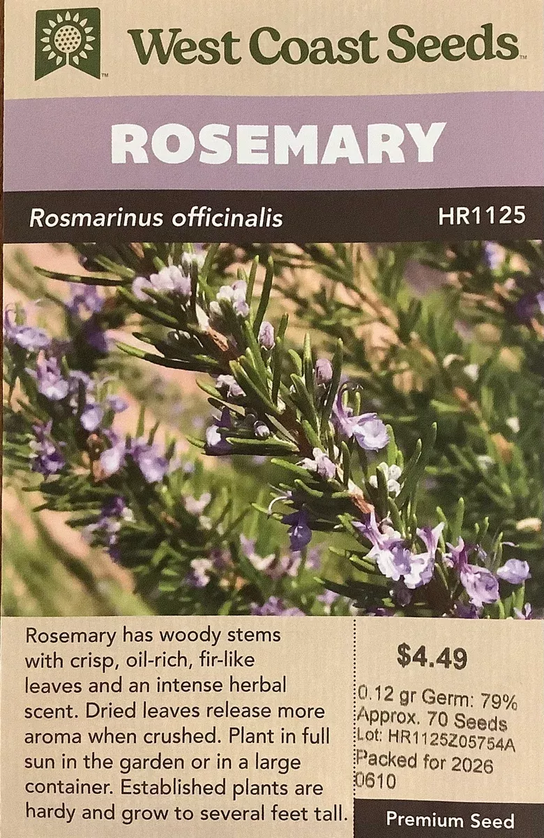 rosemary-rosemary Rosemary - Rosemary