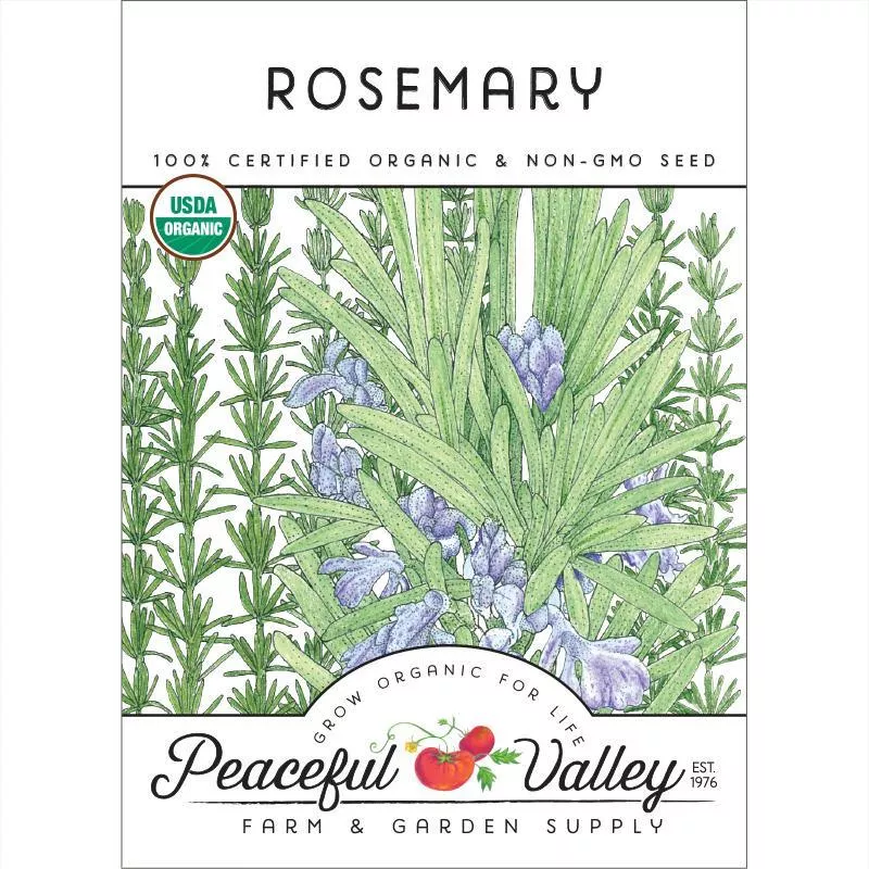 rosemary-seeds-organic Rosemary Seeds (Organic)