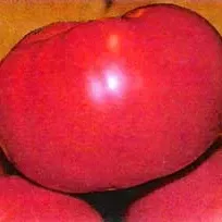 Royal Hillbilly Tomato