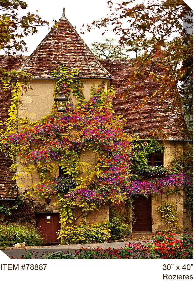 Rozieres Outdoor Canvas Art