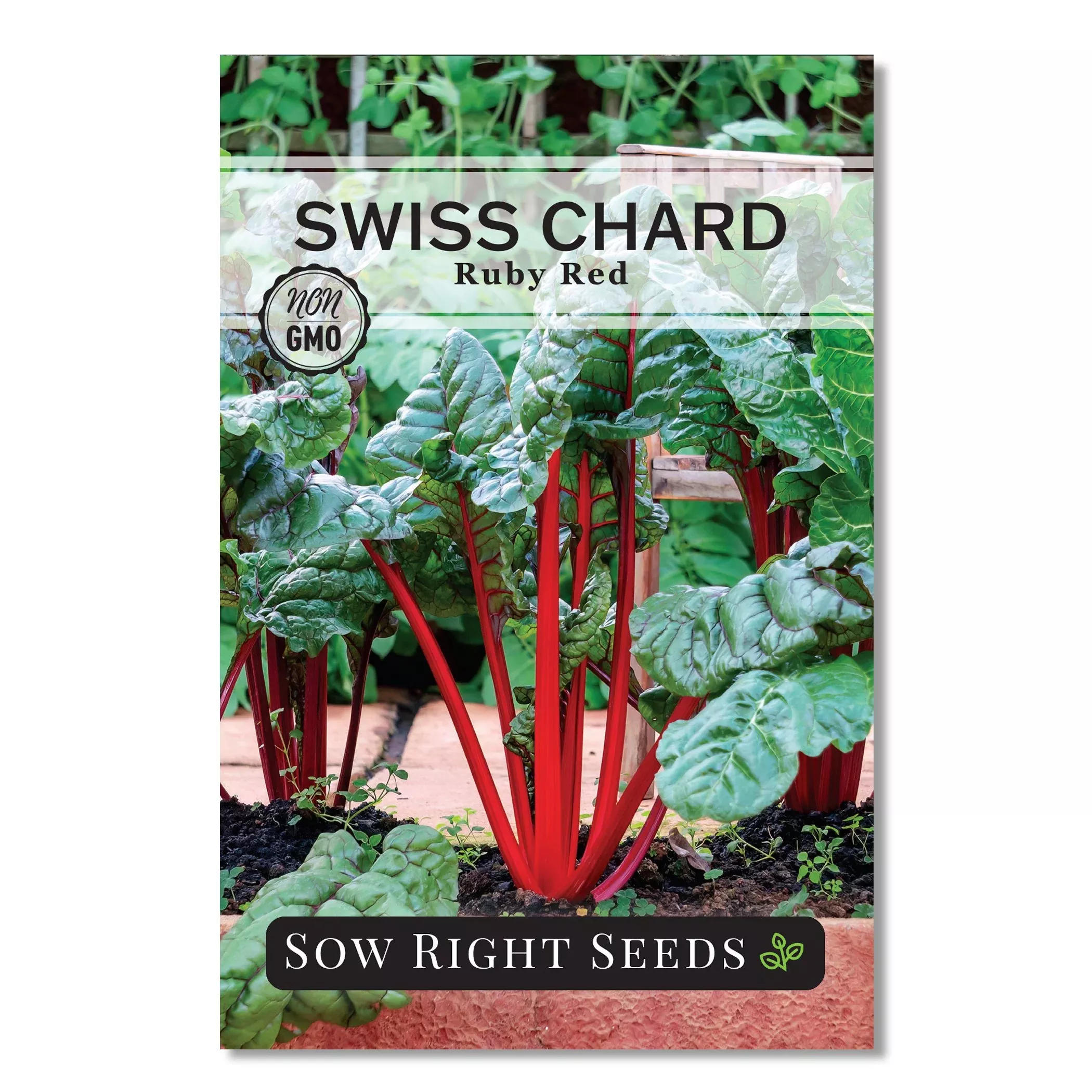 ruby-red-swiss-chard-seeds Ruby Red Swiss Chard Seeds