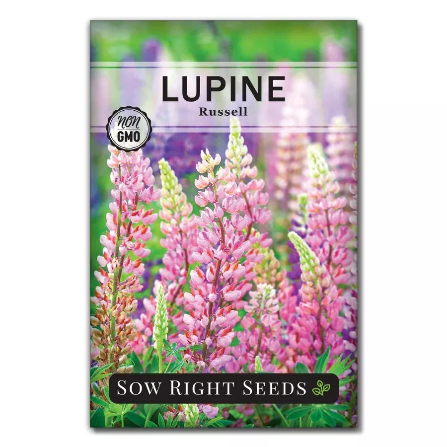 russell-lupine Russell Lupine