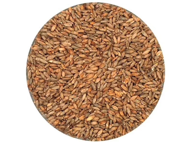 rye-malt-1lb RYE MALT 1LB
