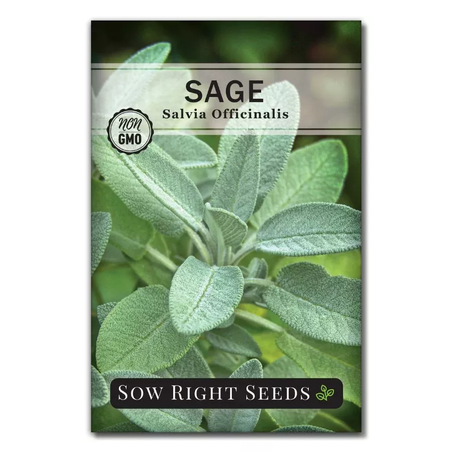 sage Sage