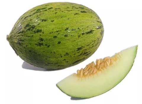 santa-claus-christmas-melon Santa Claus (Christmas) Melon