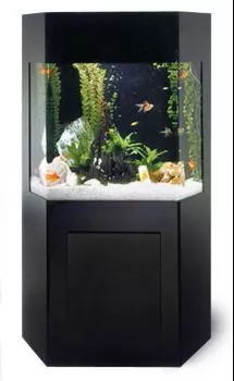 sb-1-shadow-box-aquacustom-aquarium SB-1 Shadow Box AquaCustom Aquarium