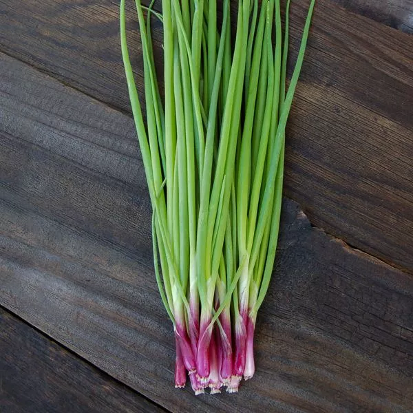 Scallion: Purple