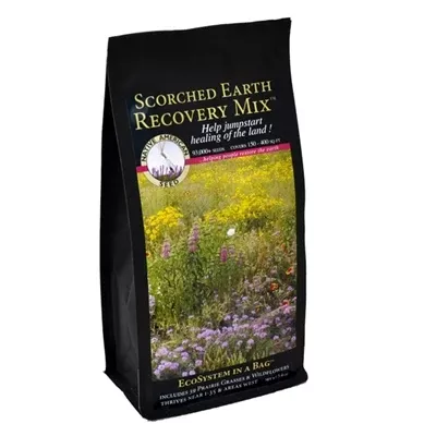 scorched-earth-recovery-seed-mix Scorched Earth Recovery Seed Mix