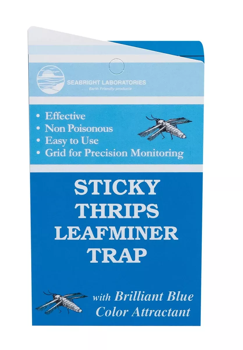 seabright-thrips-leafminer-sticky-trap Seabright Thrips & Leafminer Sticky Trap