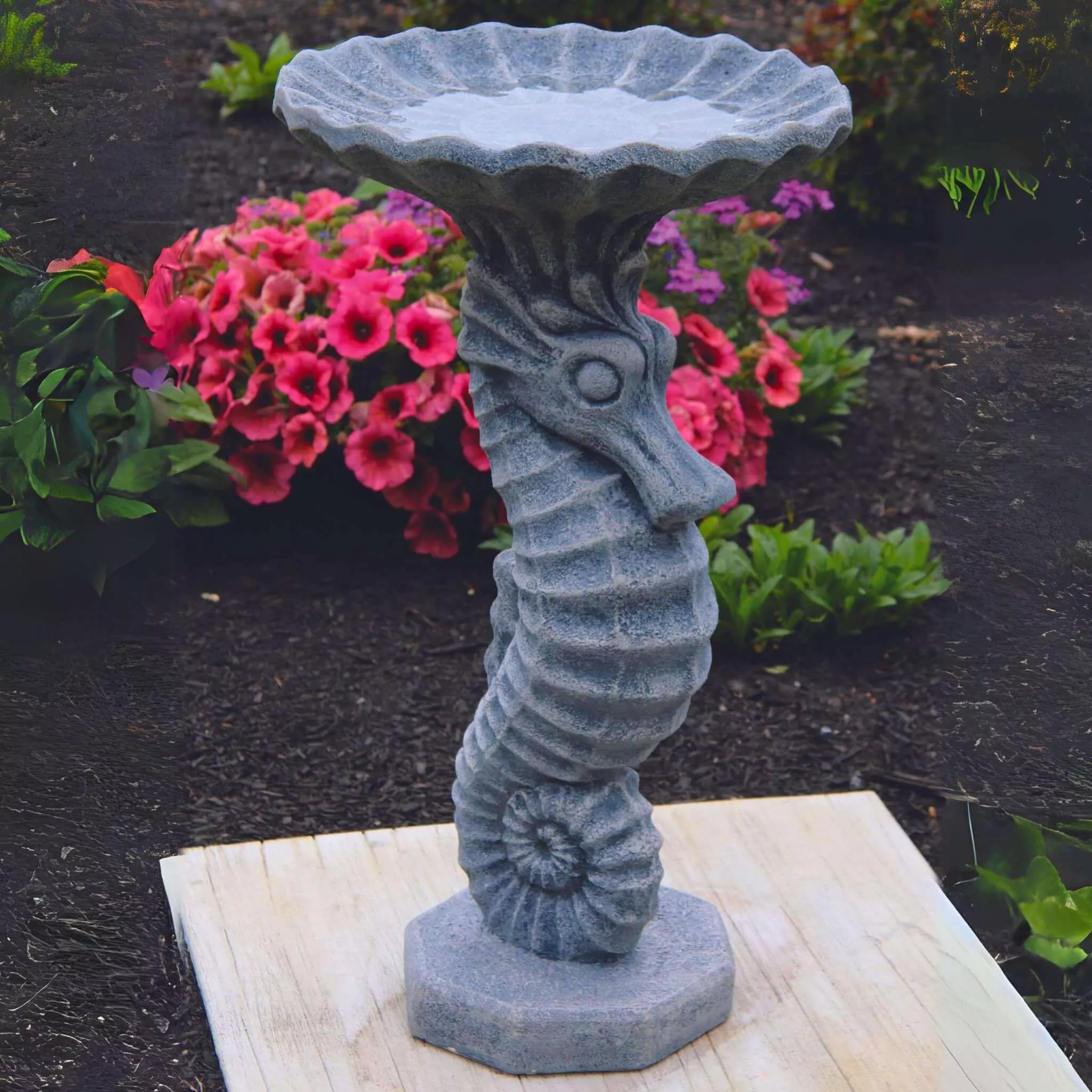 seahorse-concrete-bird-bath-massarellis-9759 Seahorse Concrete Bird Bath - Massarellis #9759