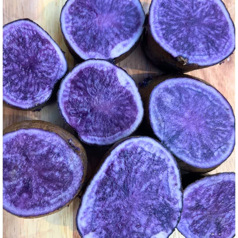seed-potato-all-blue-organic Seed Potato, All Blue, Organic