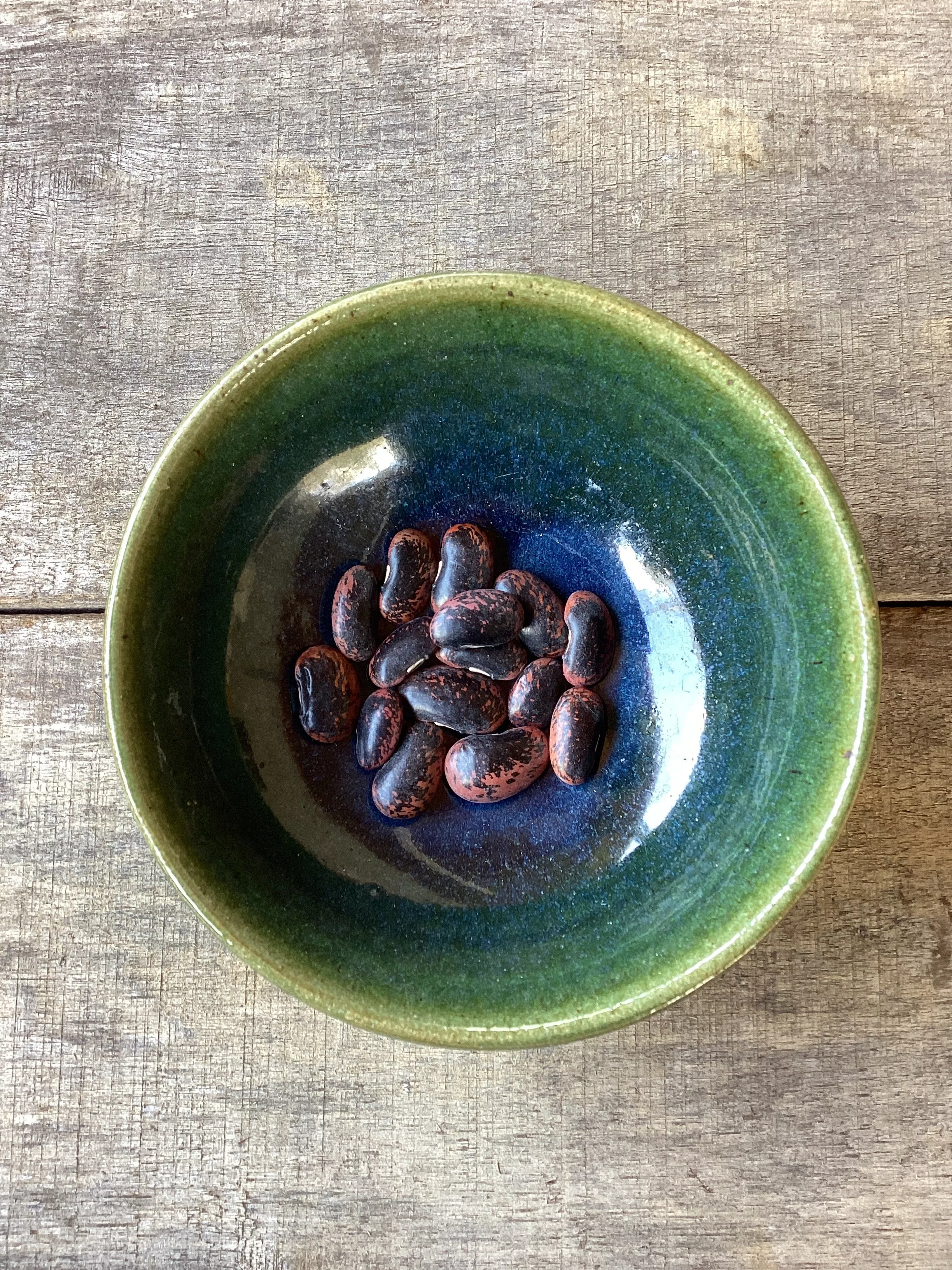Seeds, Scarlet Runner Bean