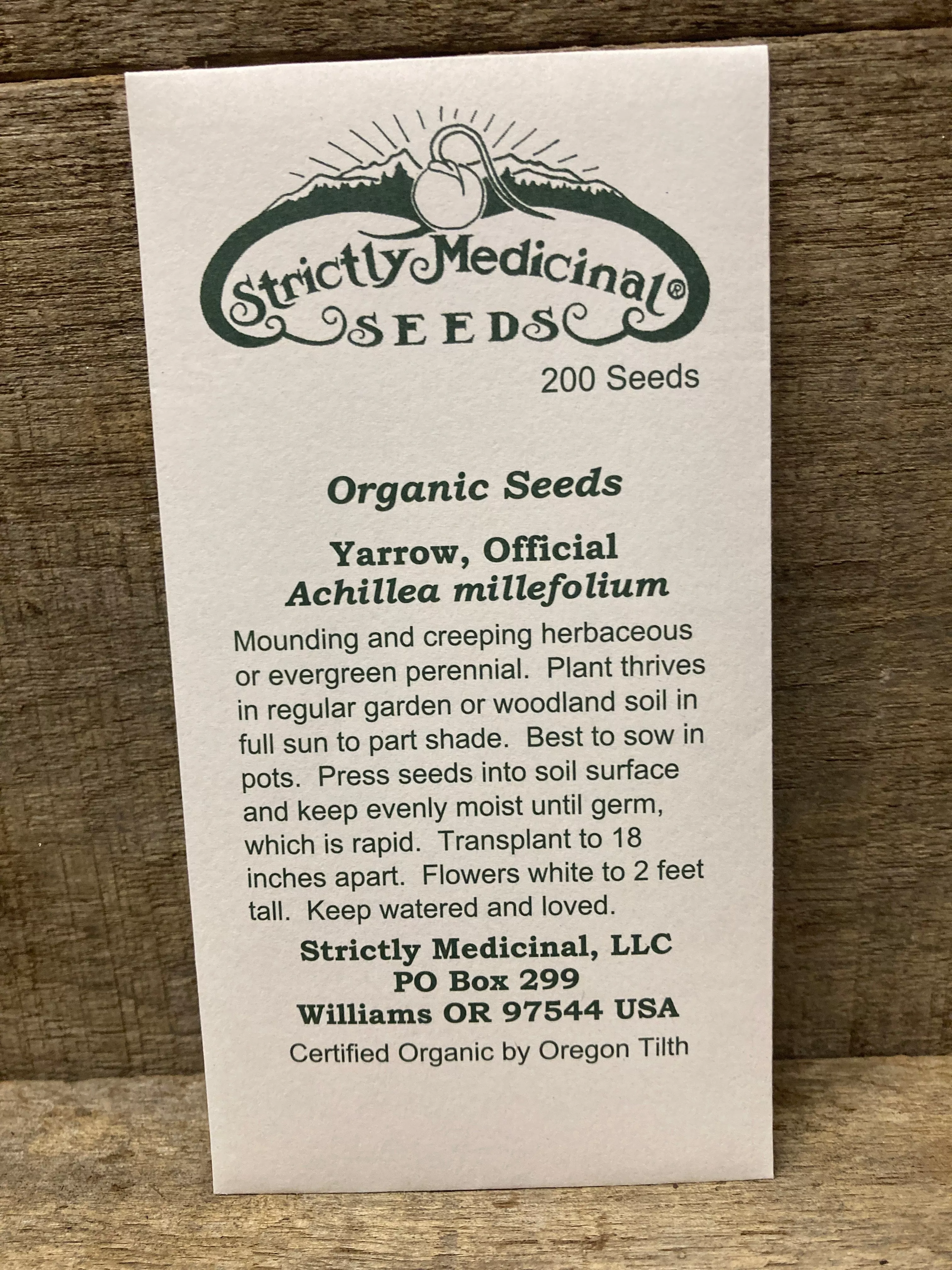 seeds-yarrow Seeds Yarrow