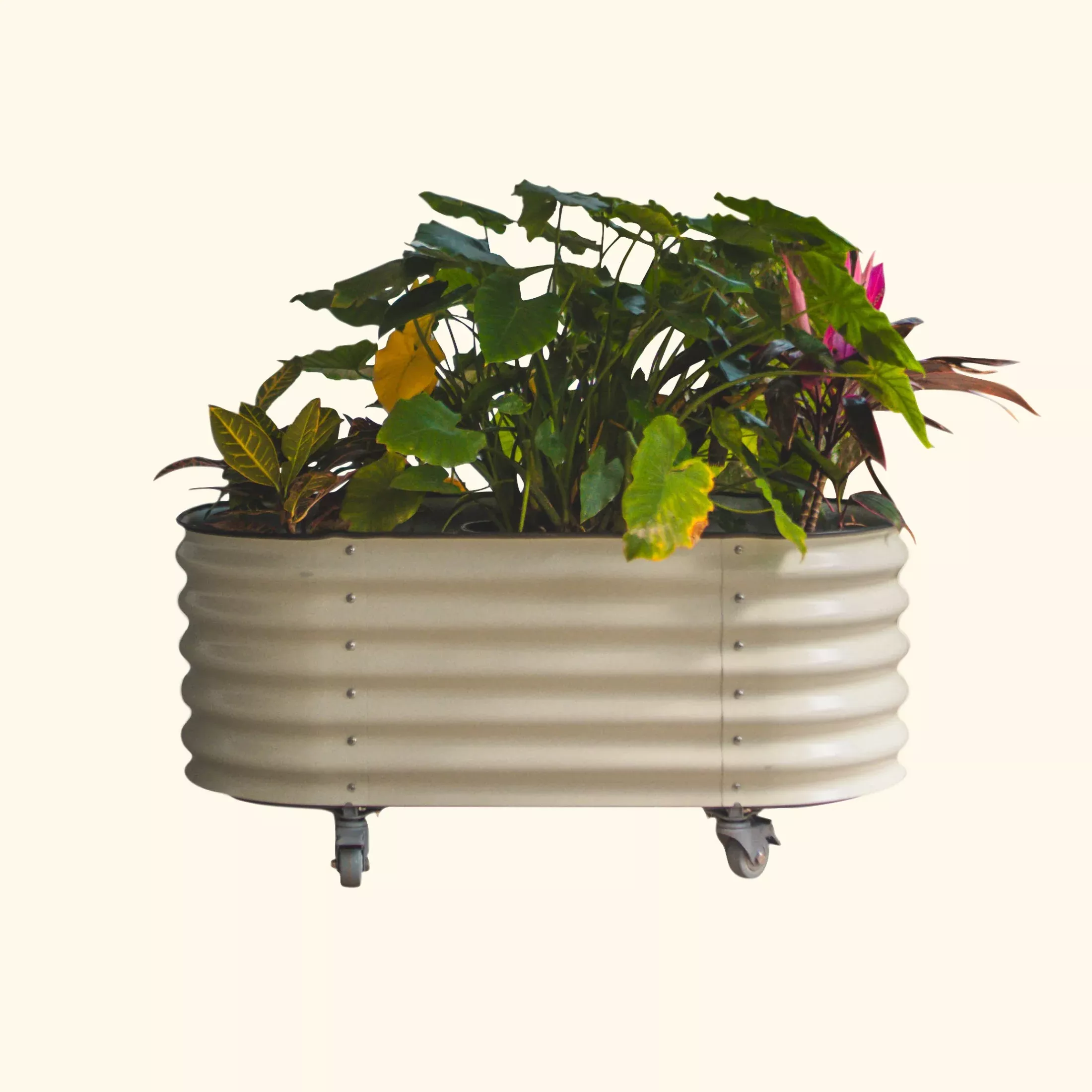 self-watering-rolling-garden-bed-2-x-6 Self-Watering Rolling Garden Bed - 2' x 6'