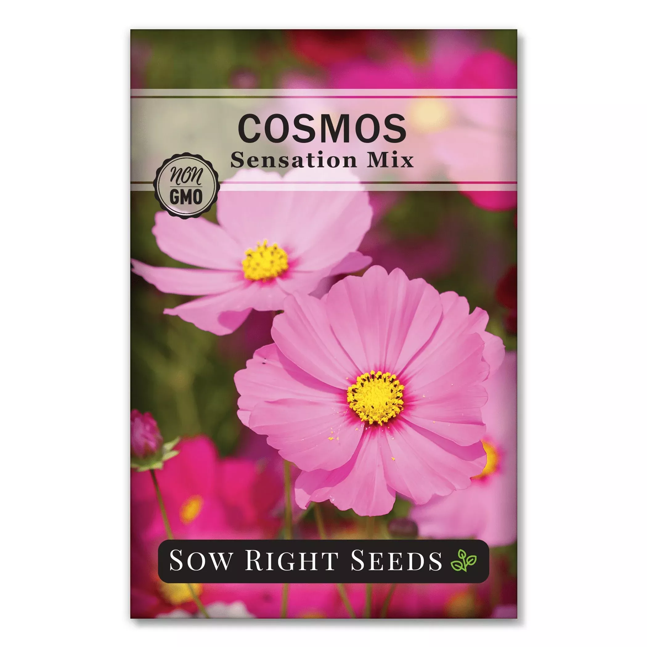 sensation-mix-cosmos Sensation Mix Cosmos