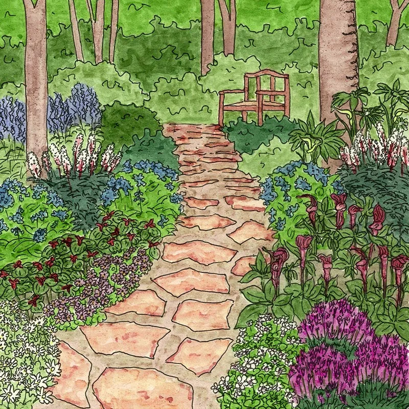 serene-woodland-pre-planned-garden Serene Woodland Pre-Planned Garden