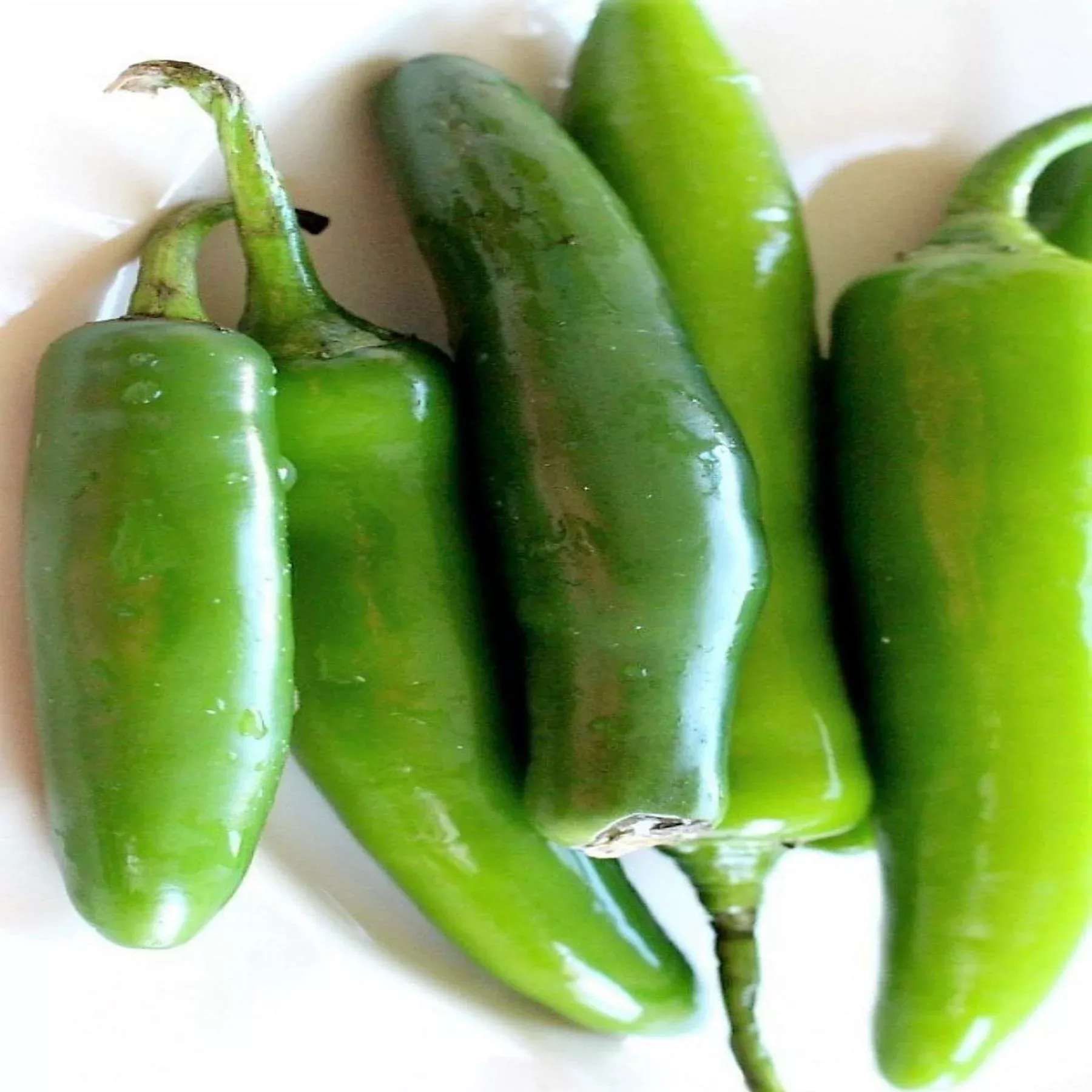 serrono-tampiqueno-hot-pepper-seeds Serrono Tampiqueno Hot Pepper Seeds