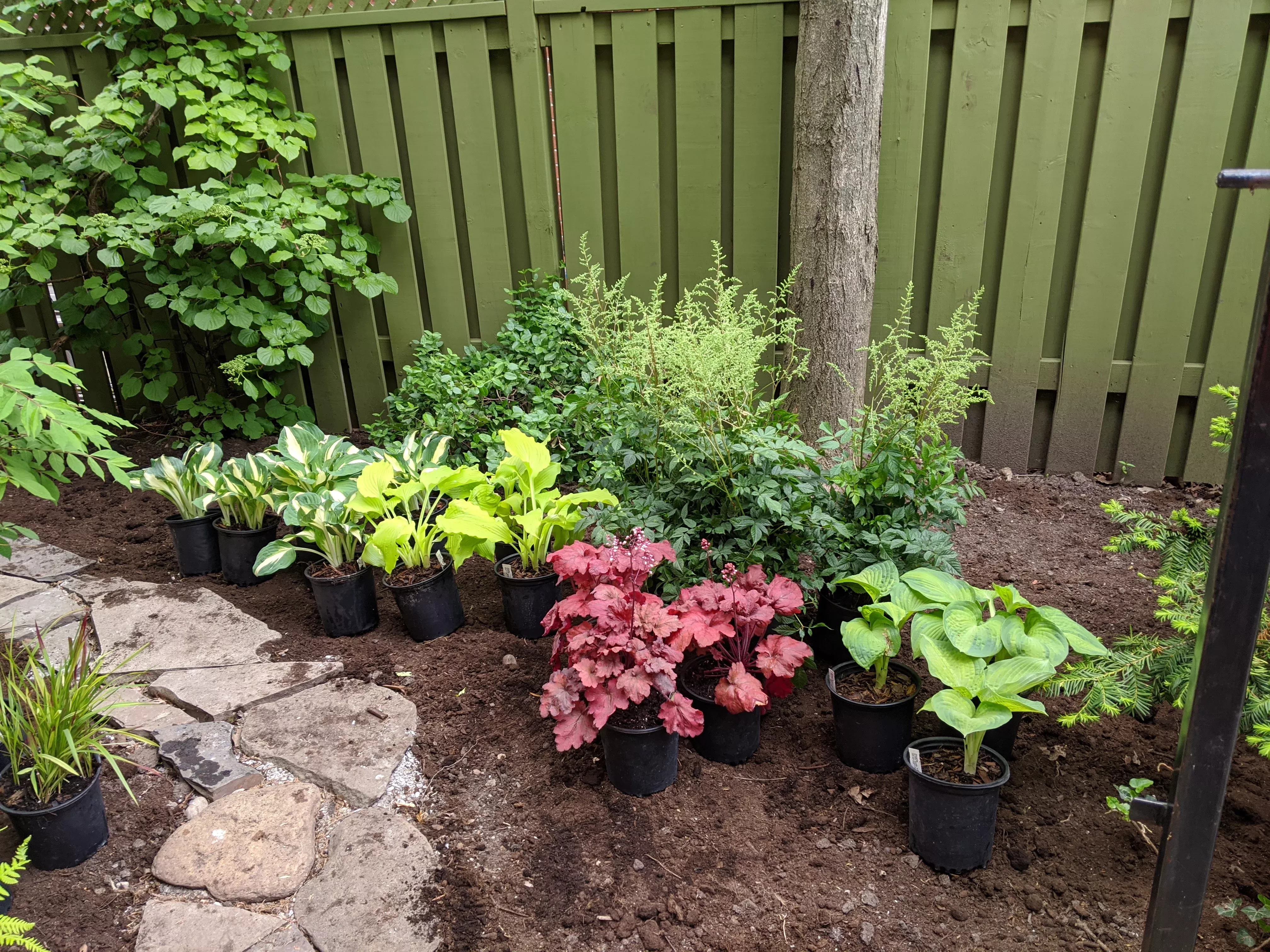 shade-garden-pack Shade Garden Pack