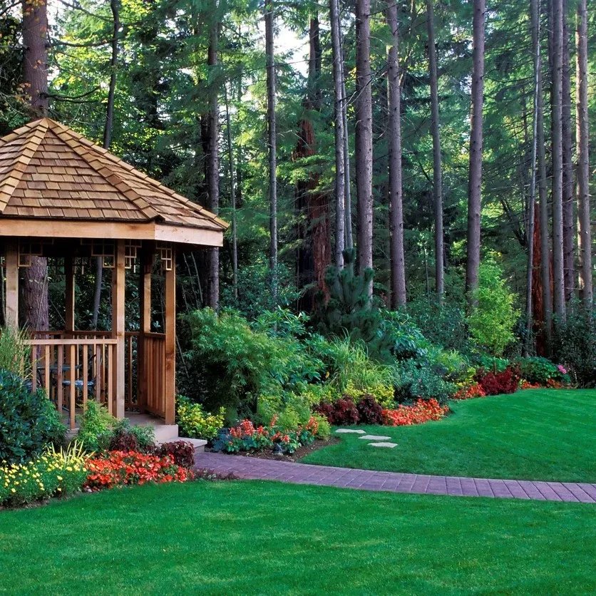 SHADY LAWN Grass Seed Mixture