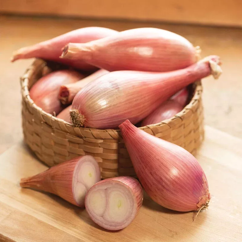Shallot: Creme Brulee