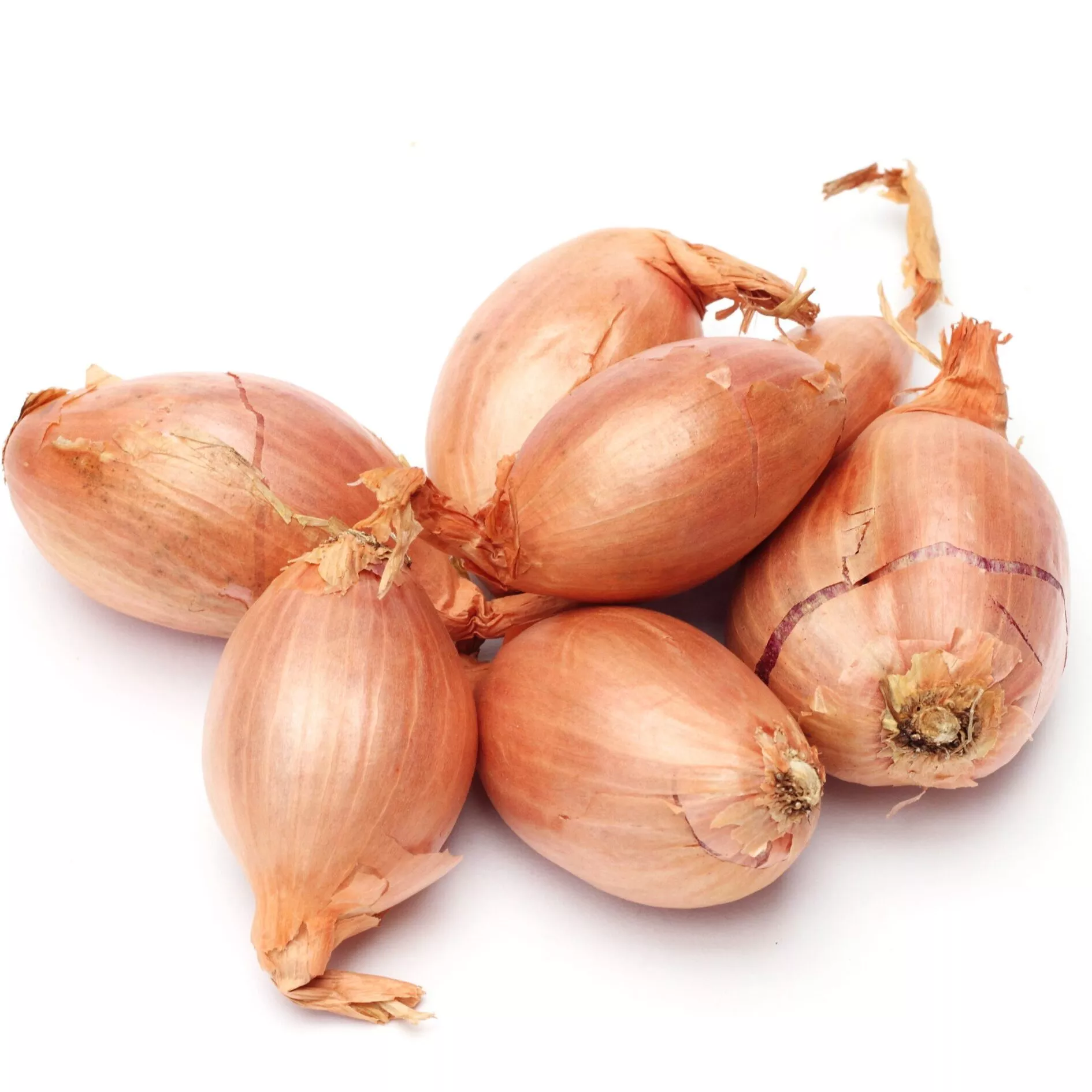 Shallot Sets