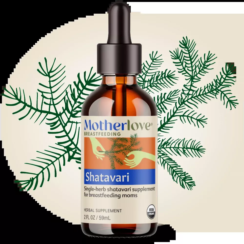 shatavari-tincture Shatavari - Tincture
