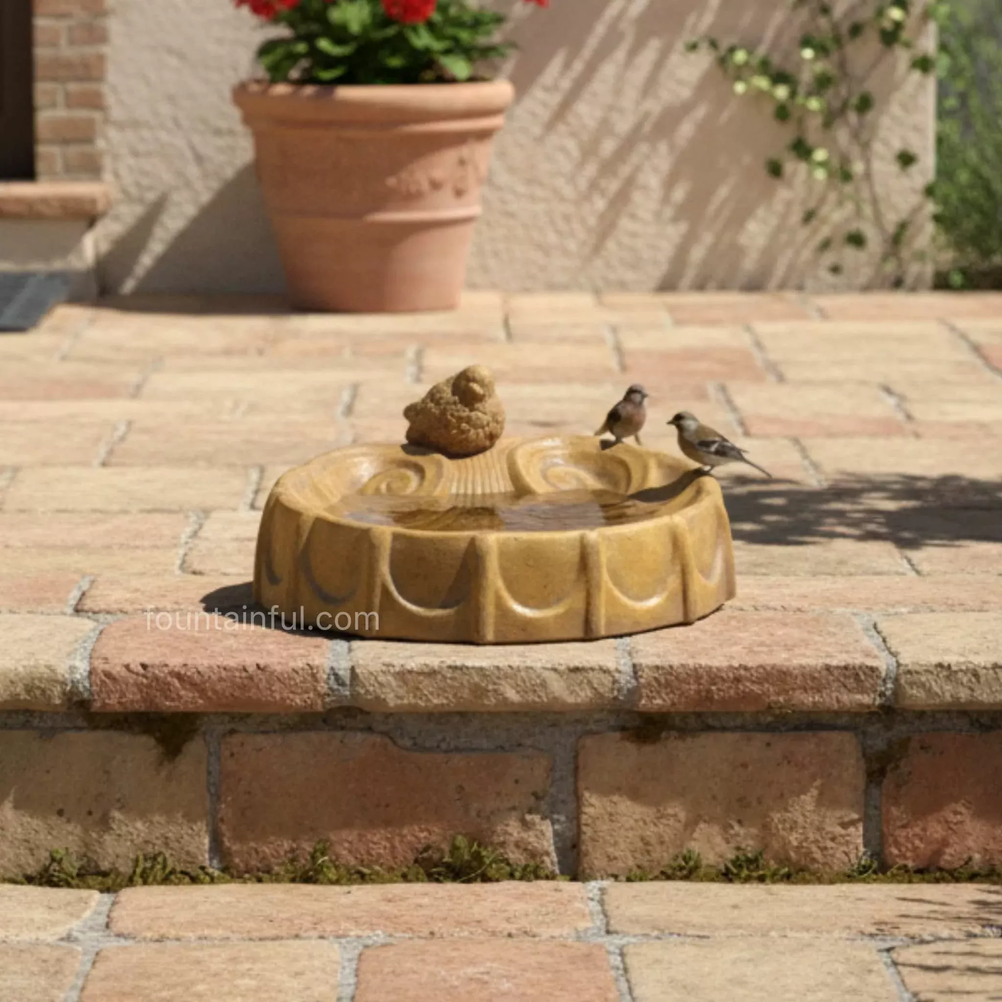 Shell with Bird Concrete Bird Bath - Giannini #401