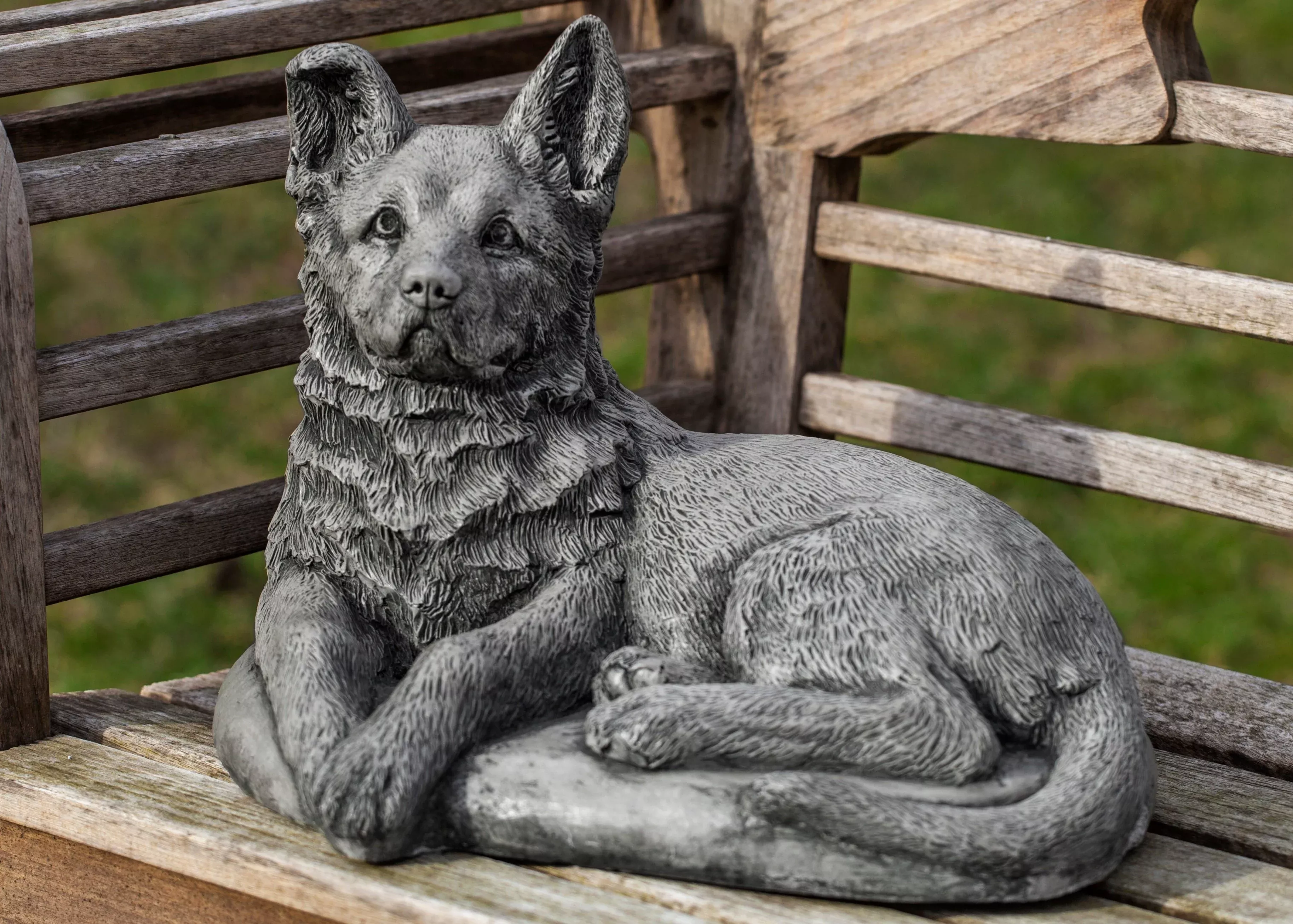 Shepherd Pup by Campania International