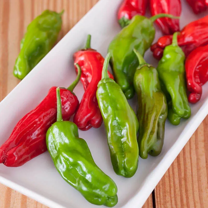 Shishito Pepper (2 Pack)
