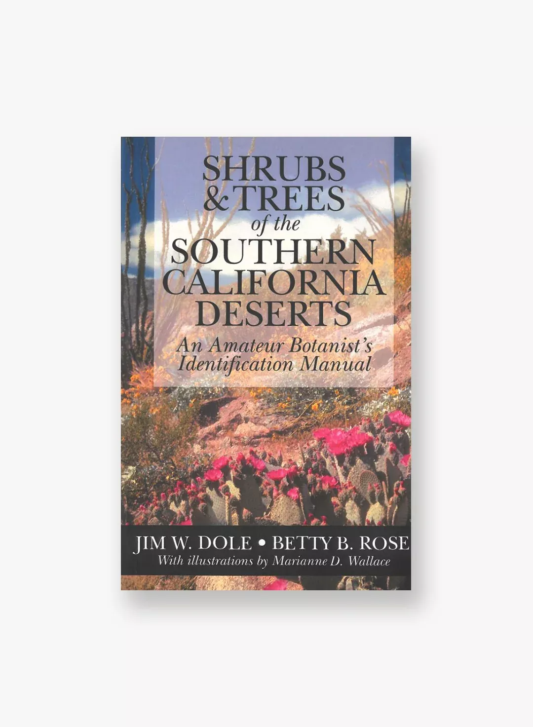 shrubs-trees-southern-california-deserts Shrubs & Trees of the Southern California Deserts