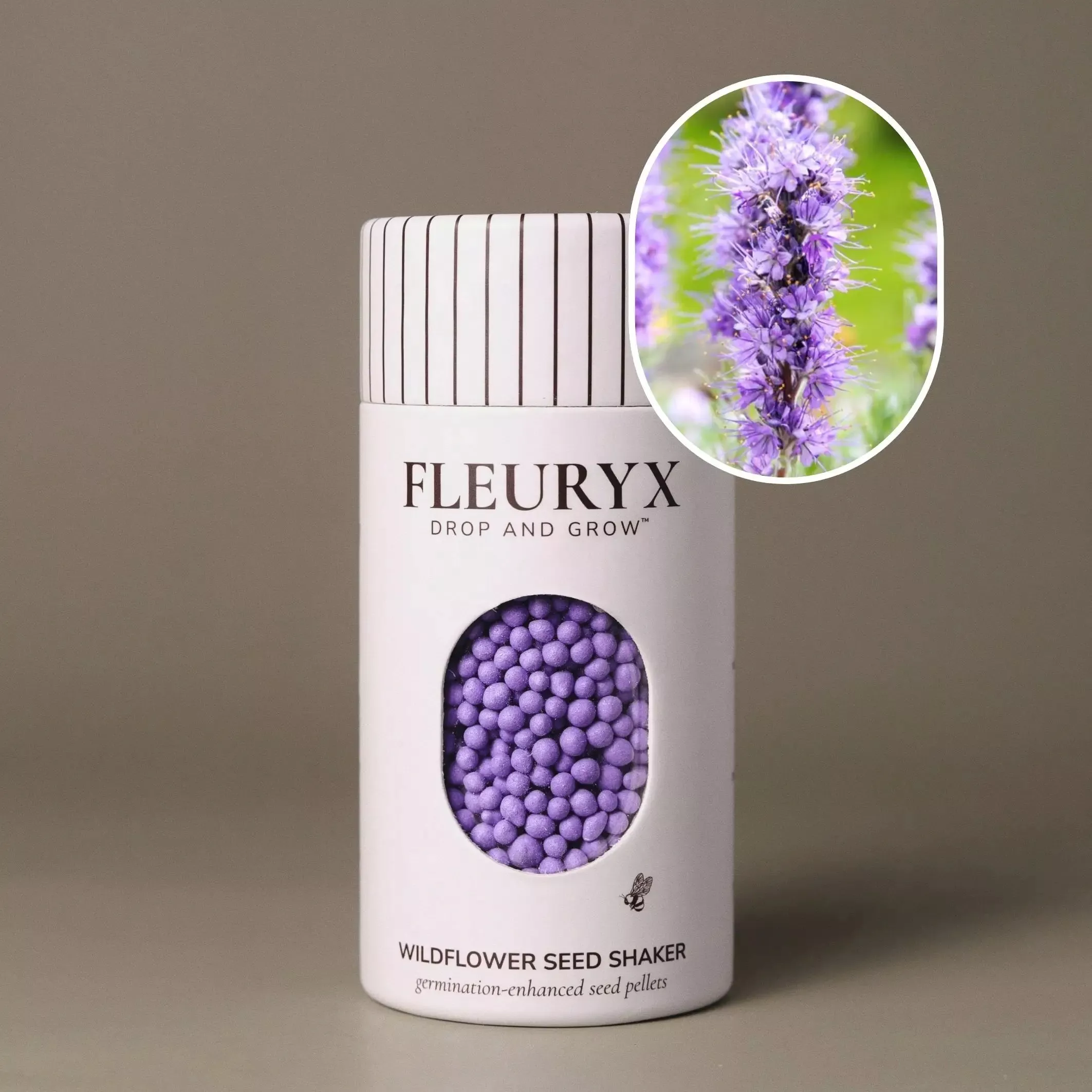 Silky Phacelia (Phacelia sericea)