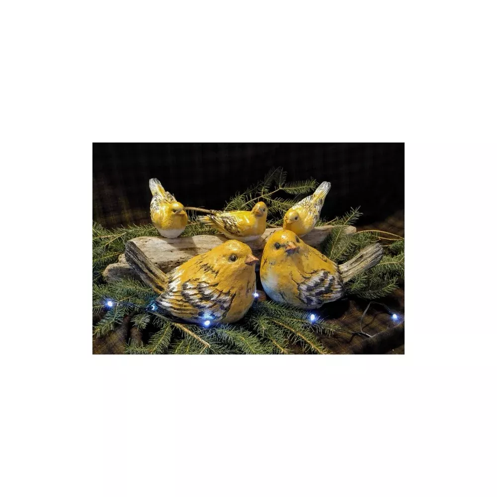 Small Yellow Birds