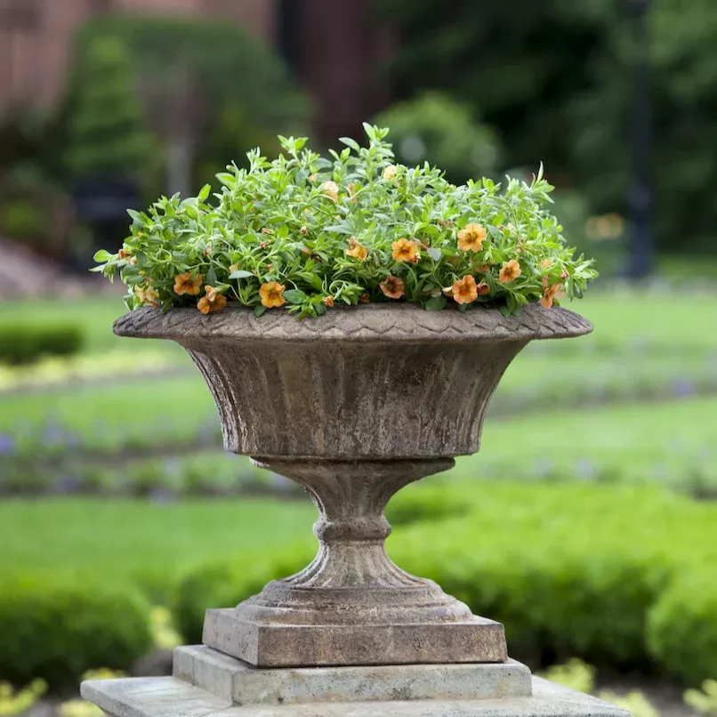 Smithsonian Fluted Valentine Urn by Campania International